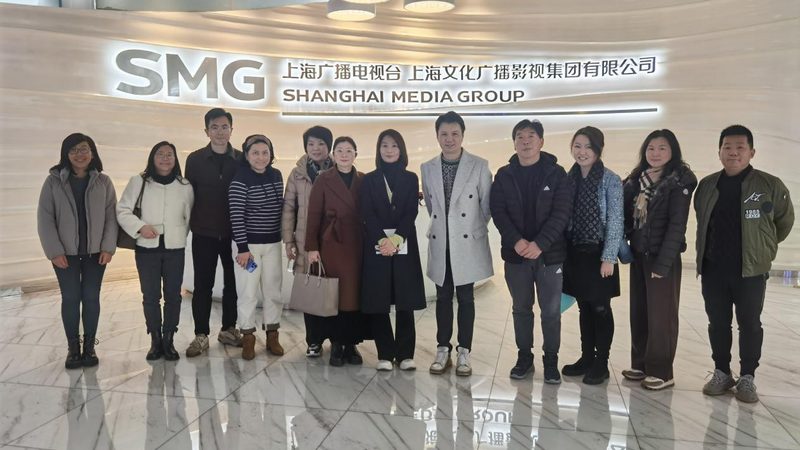 抖音媒介投放价格影响因素揭秘